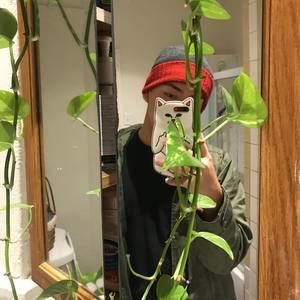 Meet your Posher, Boris